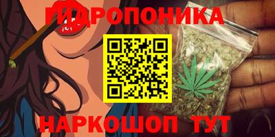 ешки Бердск