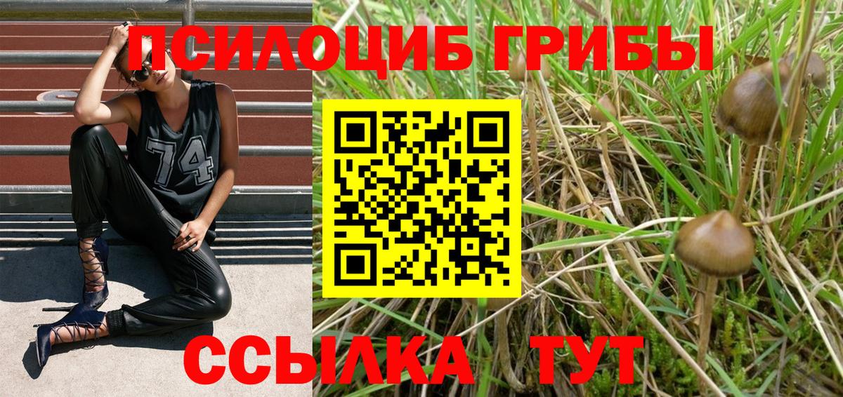 наркота  Вход с VPN  Подольск  Псилоцибиновые грибы Psilocybe  Галлюциногенные грибы Cubensis 